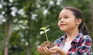 Fungsi Konferensi Lingkungan Indonesia: Panduan Lengkap
