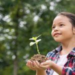 Fungsi Konferensi Lingkungan Indonesia: Perlindungan Alam