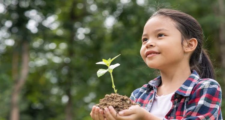 Fungsi Konferensi Lingkungan Indonesia: Perlindungan Alam