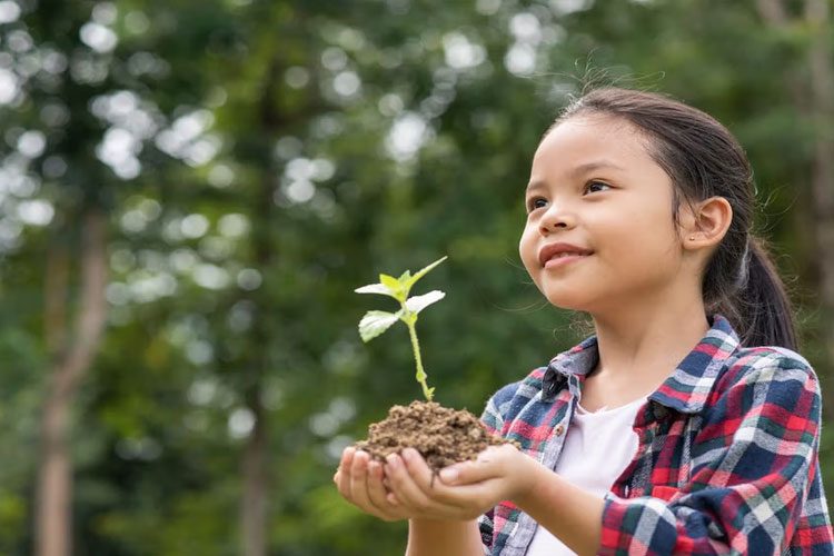 Fungsi Konferensi Lingkungan Indonesia: Perlindungan Alam
