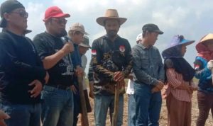 Indramayu Kunci Swasembada Kedelai Nasional