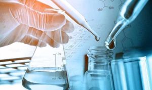 Peran, Potensi, dan Aplikasi Jamur dalam Kimia dan Bioteknologi