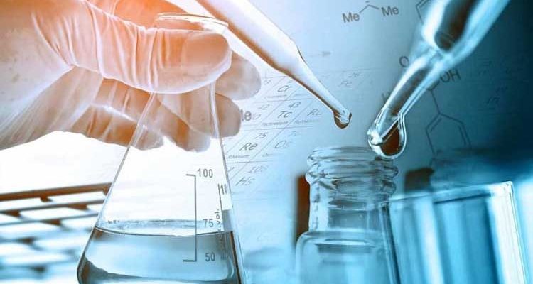 Peran, Potensi, dan Aplikasi Jamur dalam Kimia dan Bioteknologi