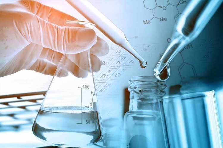 Peran, Potensi, dan Aplikasi Jamur dalam Kimia dan Bioteknologi