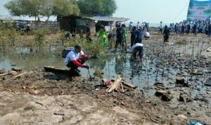 1 Pohon Mangrove untuk 3 Manusia, Penyelamat Paru-Paru Dunia