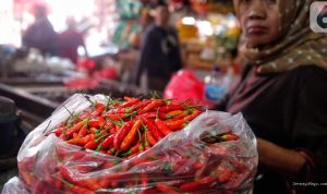 daftar-harga-pangan-26-juli-2026-cabai-rawit-merah-capai-rp-54500-per-kg-75905 Daftar Harga Pangan 26 Juli 2026: Cabai Rawit Merah Capai Rp 54.500 per Kg