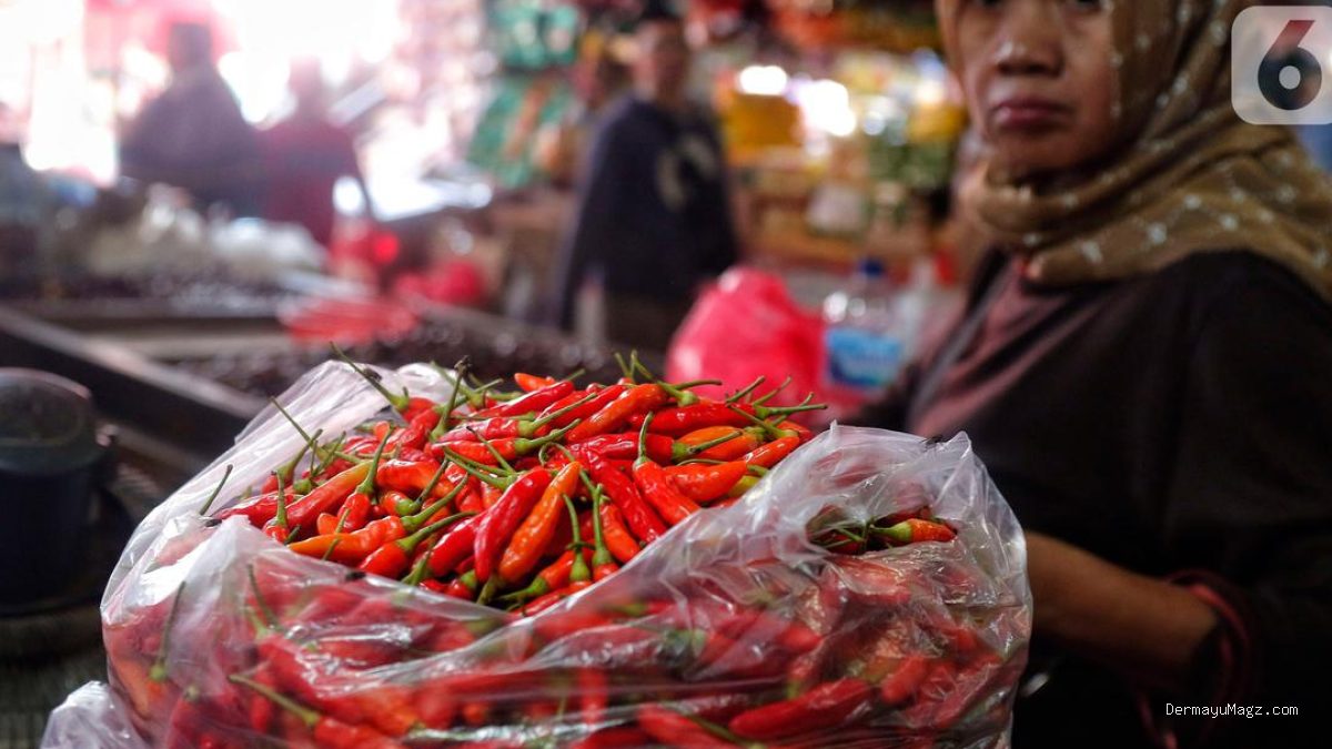 Daftar Harga Pangan 26 Juli 2026: Cabai Rawit Merah Capai Rp 54.500 per Kg
