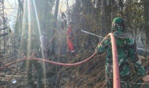 Teddy Kerahkan 64 Pesawat dan 54.394 Personel Tangani Karhutla
