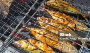 Photo by istockphoto.com - Trik Menjepit Ikan Ukuran Jumbo di Panggangan Supaya Gak Terlipat Patah