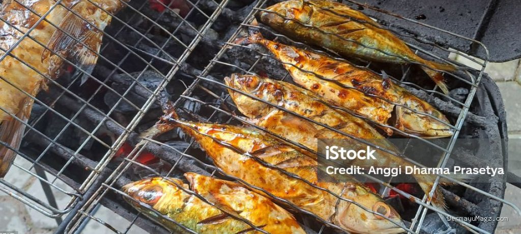 Photo by istockphoto.com - Trik Menjepit Ikan Ukuran Jumbo di Panggangan Supaya Gak Terlipat Patah