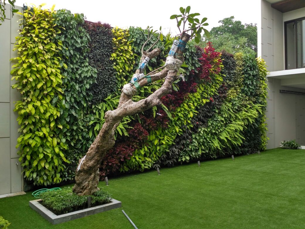 Taman Vertikal Outdoor
