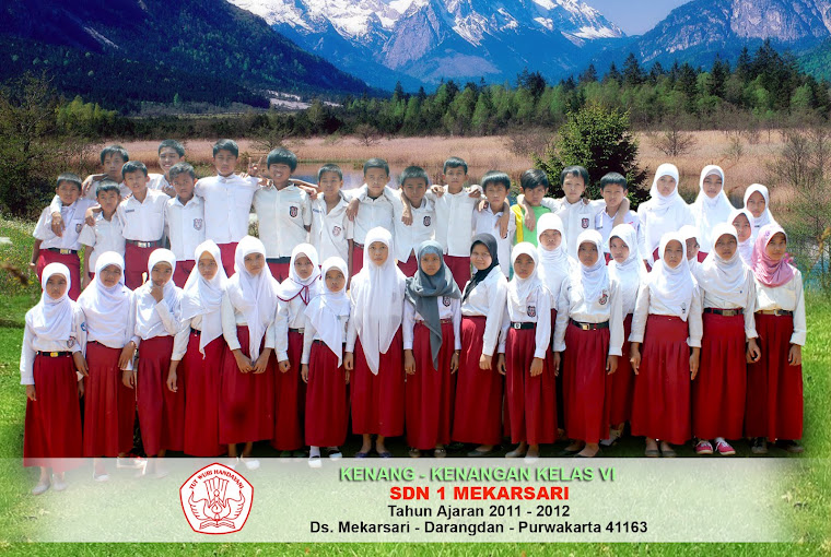 Sdn Mekarsari 1
