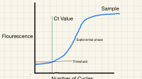 Ct Value Pcr Adalah