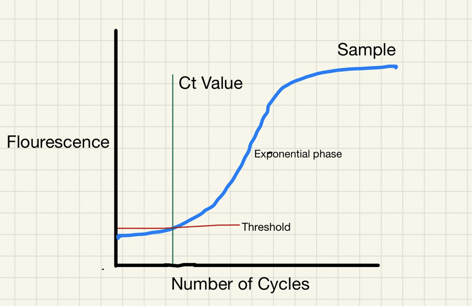 Ct Value Pcr Adalah
