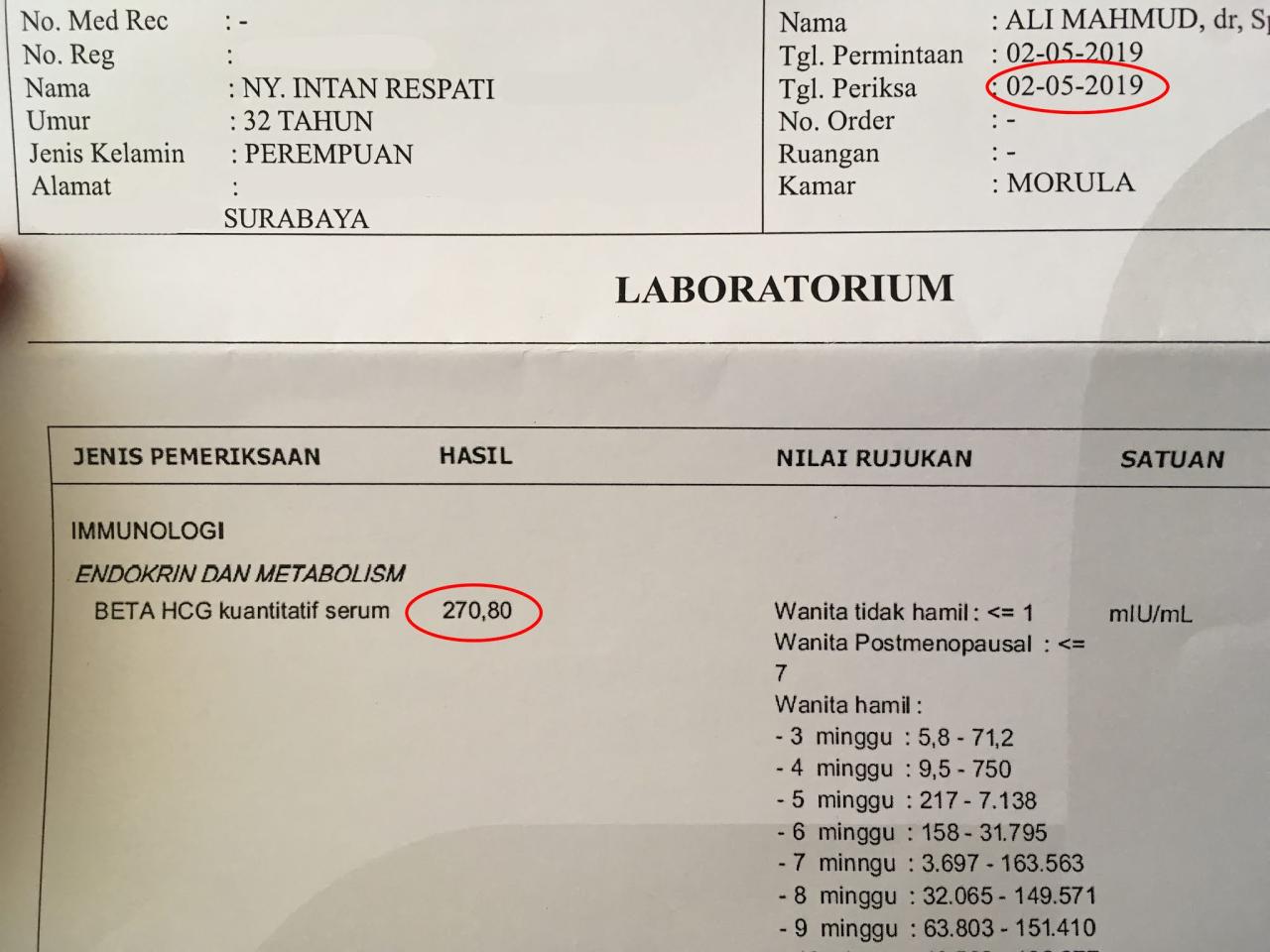 Hasil Beta Hcg Negatif Tapi Hamil
