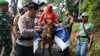 Aksi Polisi Antar Logistik Pemilu di Lampung Pakai Gerobak Sapi