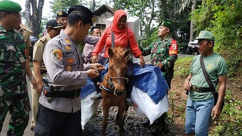 Aksi Polisi Antar Logistik Pemilu di Lampung Pakai Gerobak Sapi
