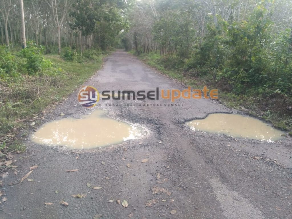 Kerusakan Jalan Desa Linggaraja Resahkan Warga
