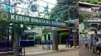 Wisata Kebun Binatang