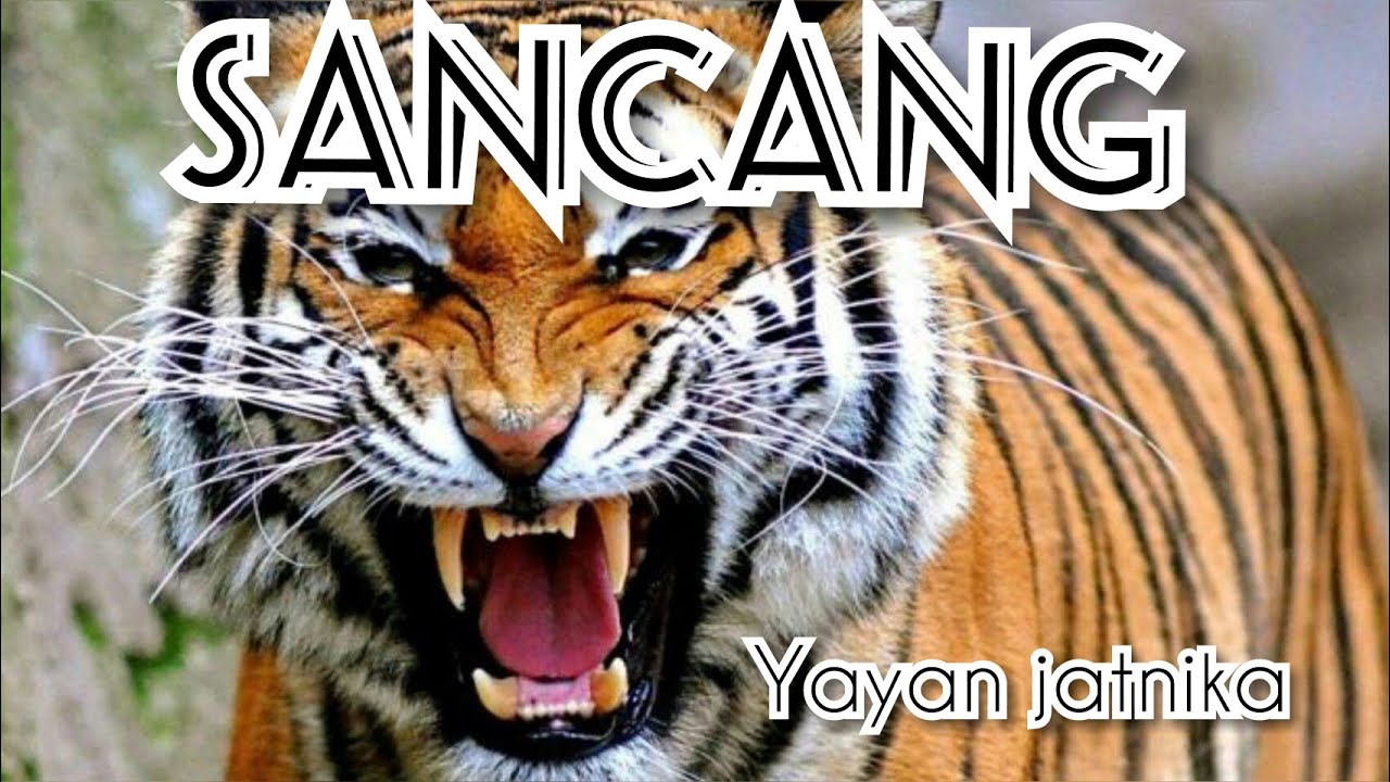 Yayan Jatnika Sancang
