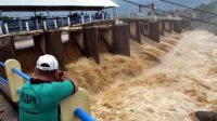 Pintu Air Pasar Ikan Siaga 2, BPBD Ingatkan 9 Wilayah Waspada Potensi Banjir