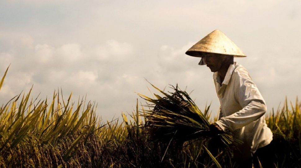 Menyambut Janji Pemartabatan Petani
