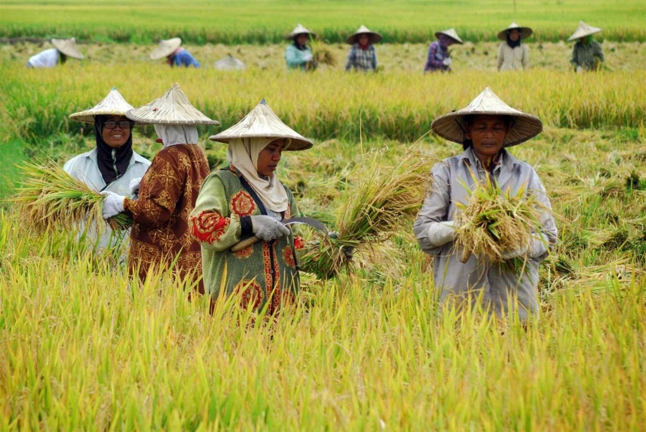 Kemandirian Ekonomi Petani Tradisional
