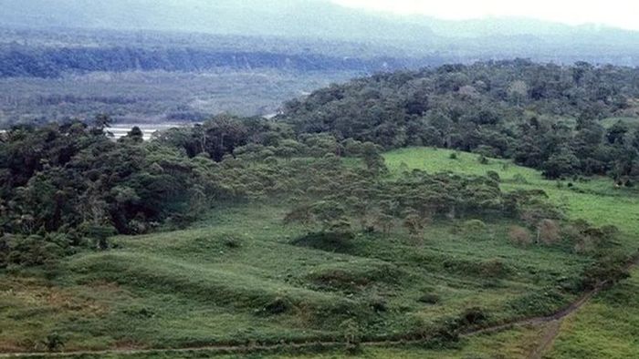 Kota Kuno Berusia 2.500 Tahun Ditemukan di Hutan Amazon
