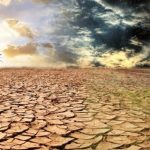 BMKG Ingatkan Petani Indramayu Waspadai Kemarau Panjang Akibat El Nino 2026