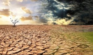 BMKG Ingatkan Petani Indramayu Waspadai Kemarau Panjang Akibat El Nino 2026