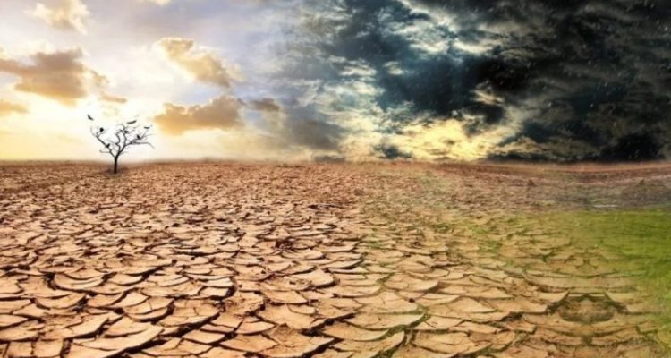 BMKG Ingatkan Petani Indramayu Waspadai Kemarau Panjang Akibat El Nino 2026