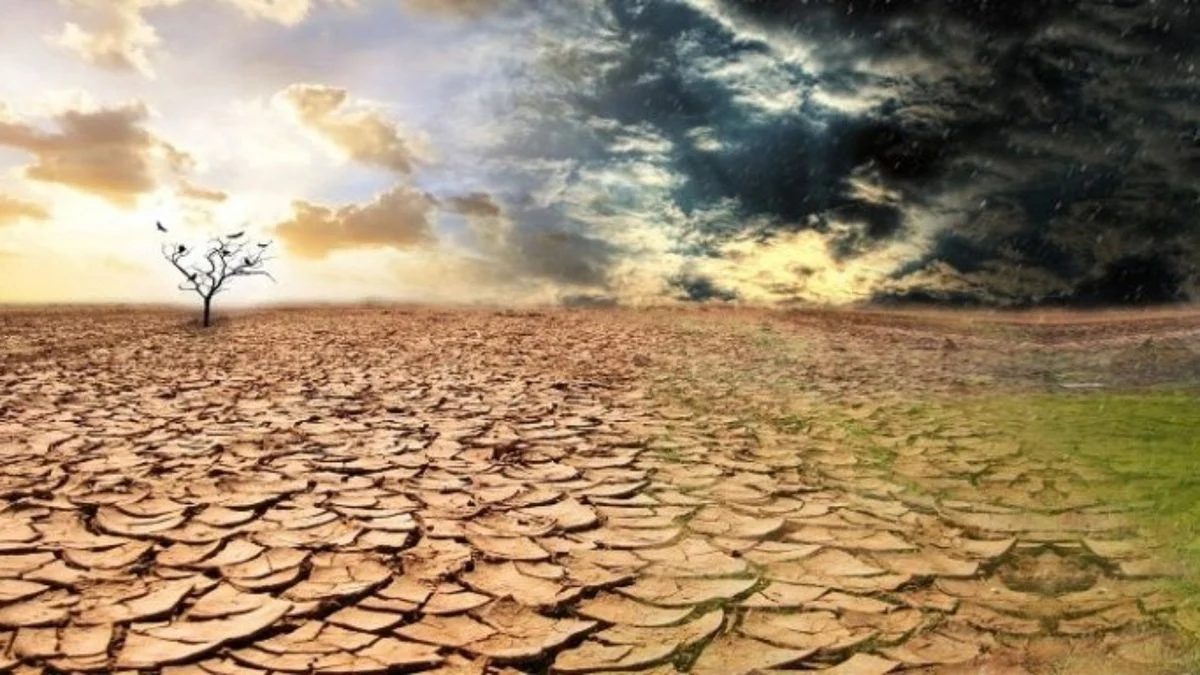 BMKG Ingatkan Petani Indramayu Waspadai Kemarau Panjang Akibat El Nino 2026