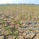 Fokus Antisipasi Kekeringan di Jawa Barat: Indramayu Siaga El Nino