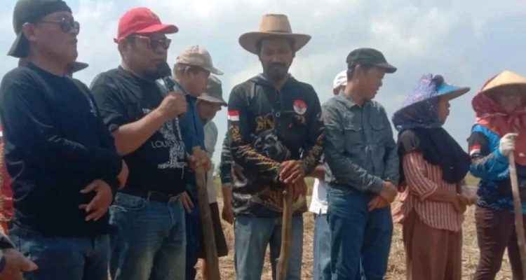 Indramayu Kunci Swasembada Kedelai Nasional