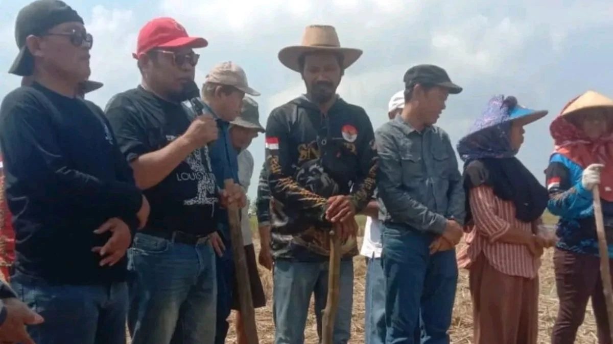 Indramayu Kunci Swasembada Kedelai Nasional