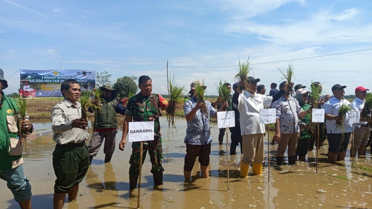 Kolaborasi Koramil 1613/Terisi dan Kementerian Pertanian untuk Penanaman Serentak 50.000 Ha di Indramayu