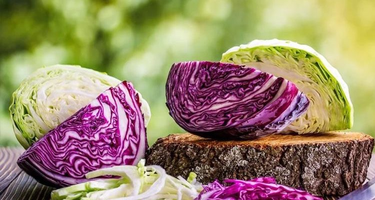 Manfaat Kol Merah: Kesehatan & Cara Konsumsi Terbaik