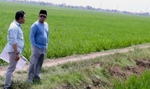 Nusron Cek Lahan Industri Indramayu Agar Tak Kena Batasan Lahan Pertanian