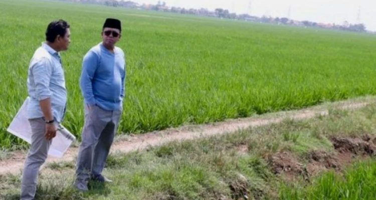 Nusron Cek Lahan Industri Indramayu Agar Tak Kena Batasan Lahan Pertanian