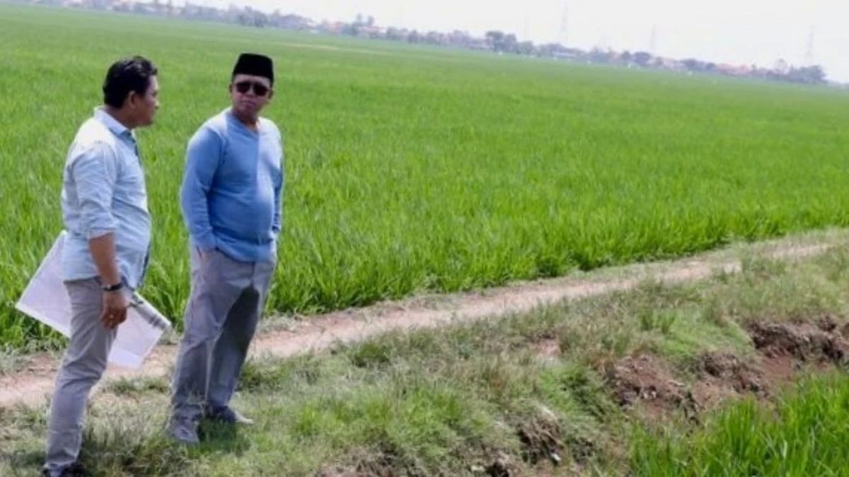 Nusron Cek Lahan Industri Indramayu Agar Tak Kena Batasan Lahan Pertanian