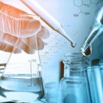 Peran, Potensi, dan Aplikasi Jamur dalam Kimia dan Bioteknologi