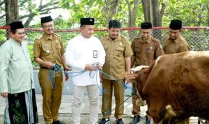 292 Hewan Kurban Dibagikan ke 19 Provinsi di Indonesia