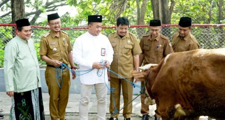 292 Hewan Kurban Dibagikan ke 19 Provinsi di Indonesia