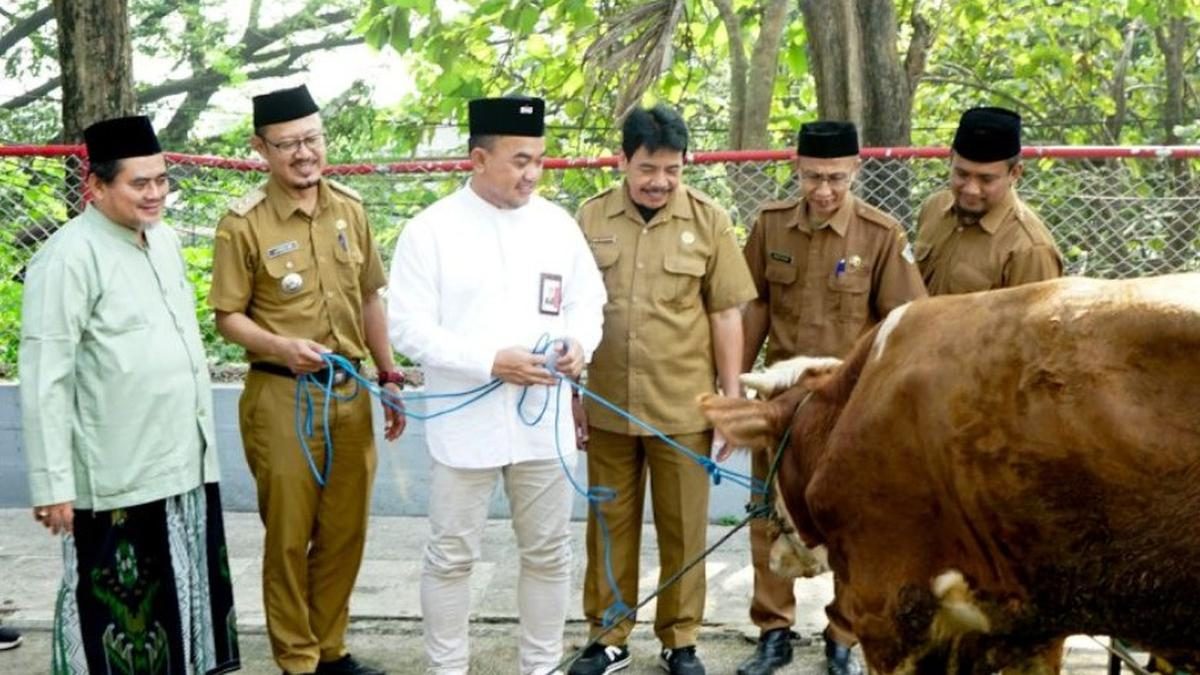 292 Hewan Kurban Dibagikan ke 19 Provinsi di Indonesia
