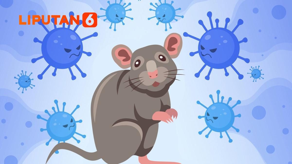 3 Kasus Hantavirus Terdeteksi di Jakarta, 6 Suspek dalam Pemantauan