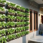 6 Cara Mudah Berkebun Pakcoy Gantung Bebas Ulat di Lahan Sempit