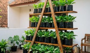 7 Rak Kebun Vertikal Sederhana dari Ember dan Bambu untuk Lahan Terbatas
