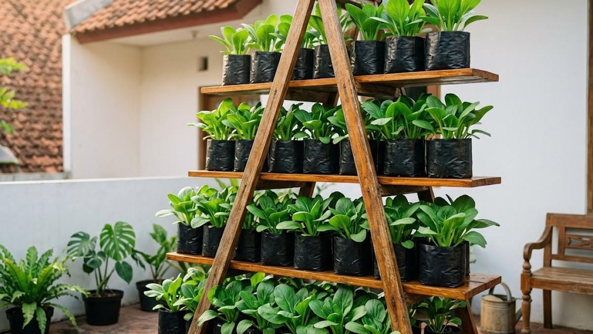 7 Rak Kebun Vertikal Sederhana dari Ember dan Bambu untuk Lahan Terbatas