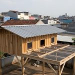 7 Tips Kandang Ayam Kampung Bebas Bau di Perkotaan