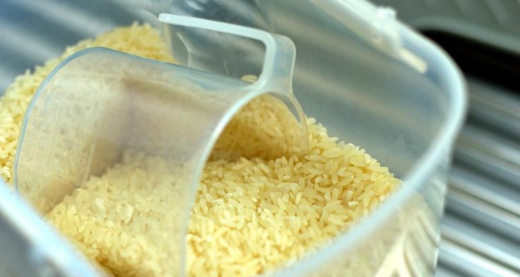 7 Tips Menyimpan Beras di Cuaca Panas dan Lembap Agar Tidak Berkutu
